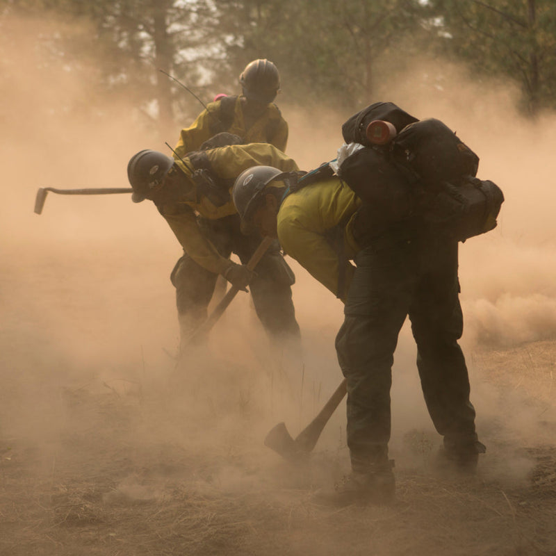 Wildland firefighters using hand tools during fireline construction in dry vegetation