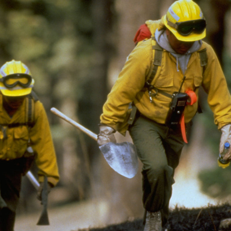 Wildland firefighter carrying a forestry shovel during fireline operations