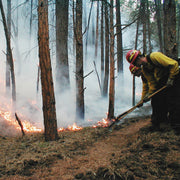 Two wildland firefighters using hand tools beside a fireline in a smoky forest.