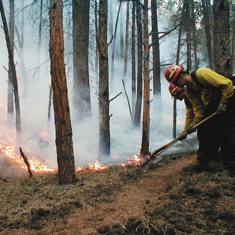 Two wildland firefighters using hand tools beside a fireline in a smoky forest.