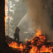 Firefighter directing a hose stream during wildland firefighting
