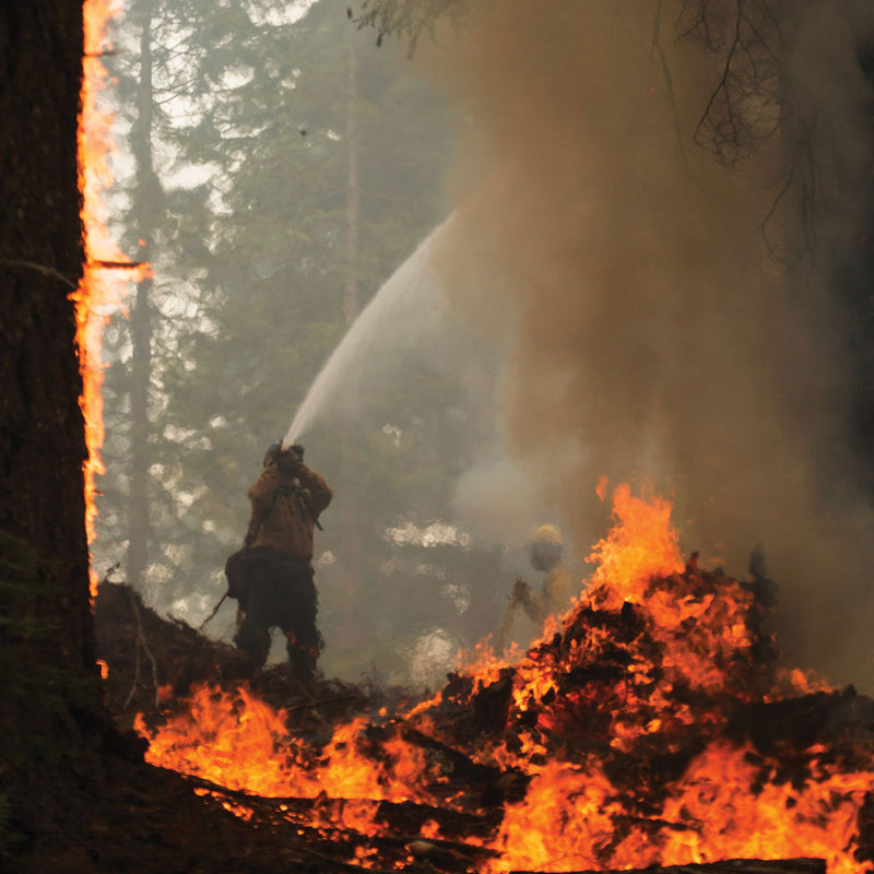 Firefighter directing a hose stream during wildland firefighting