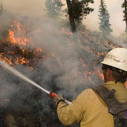 Wildland firefighter directing a hose stream onto burning vegetation